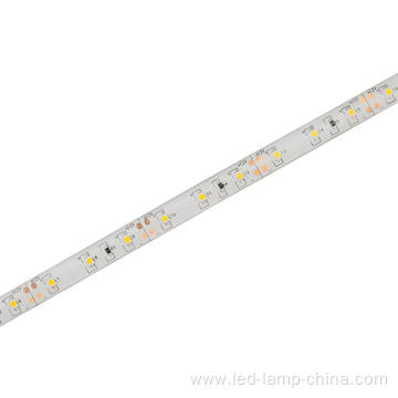 3528 warm white waterproof LED STRIP